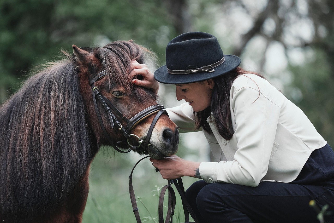horse, pony, woman, nature, animal